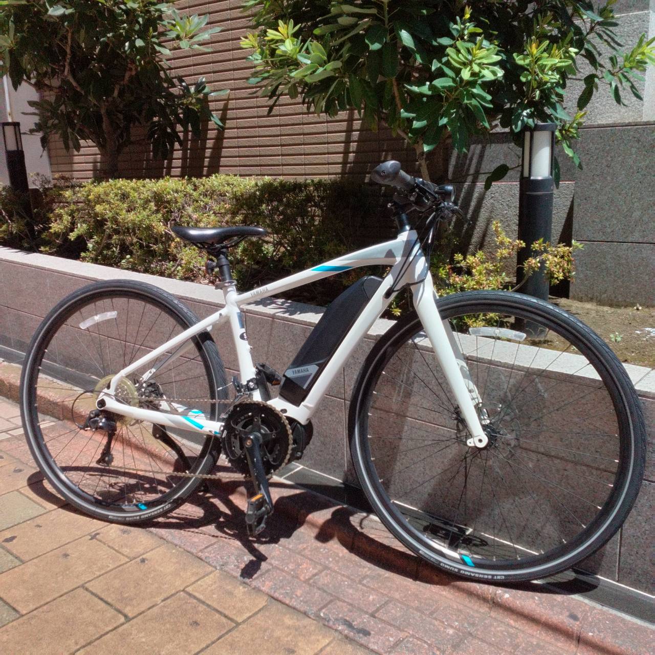 【大森山王店・CLEARANCE SALE】YAMAHA YPJ-EC(S) 2025/07/21