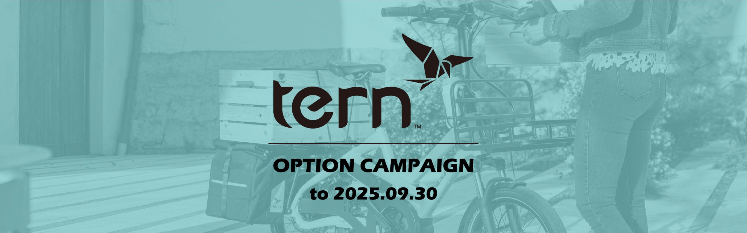 tern - Option Campaign